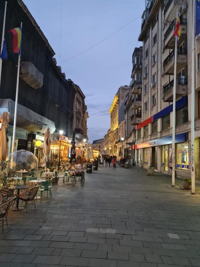 Color Ap Calea Victoriei 12C Daire Bükreş Dış mekan fotoğraf